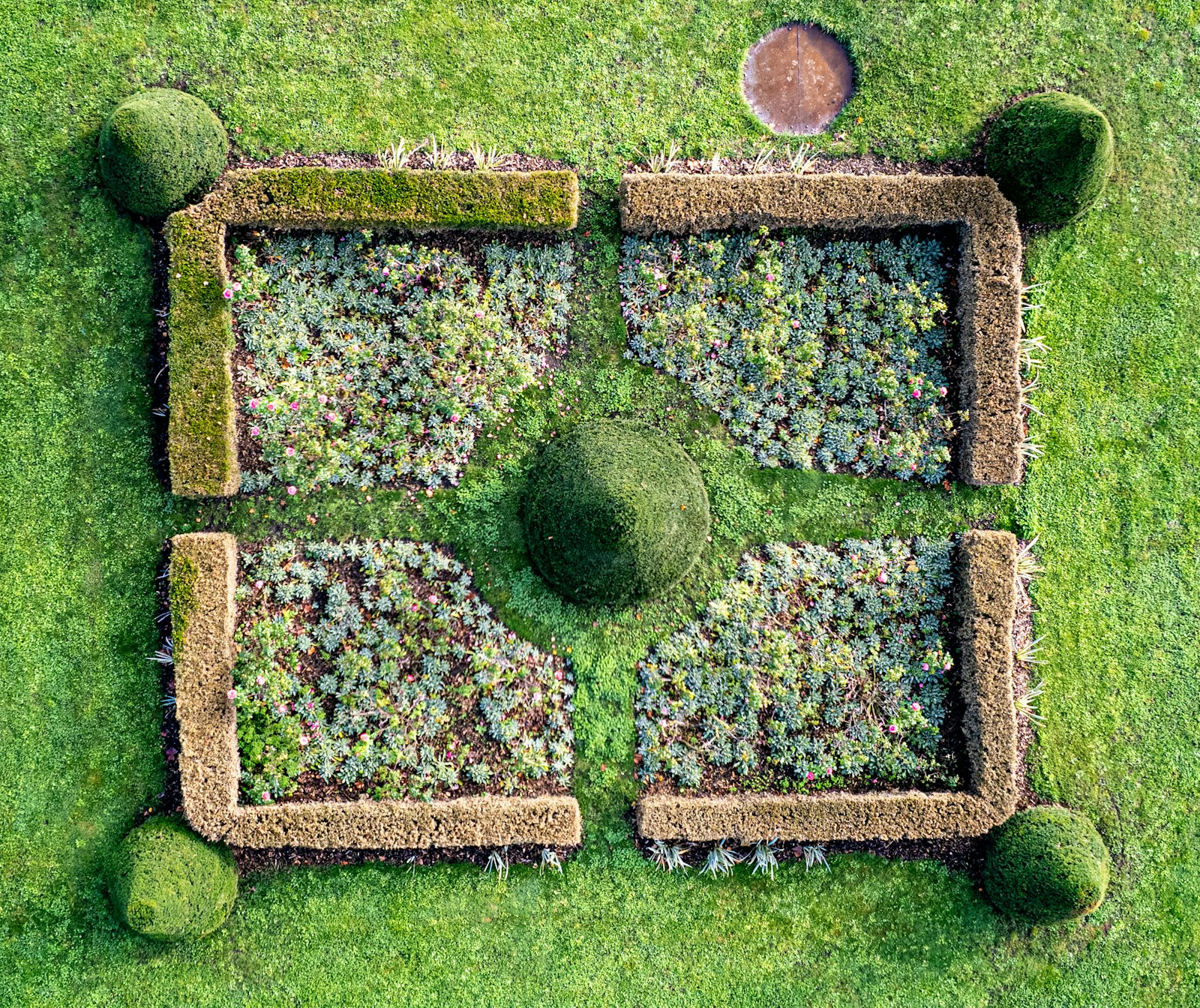 Vue d'ensemble d'un jardin entretenu